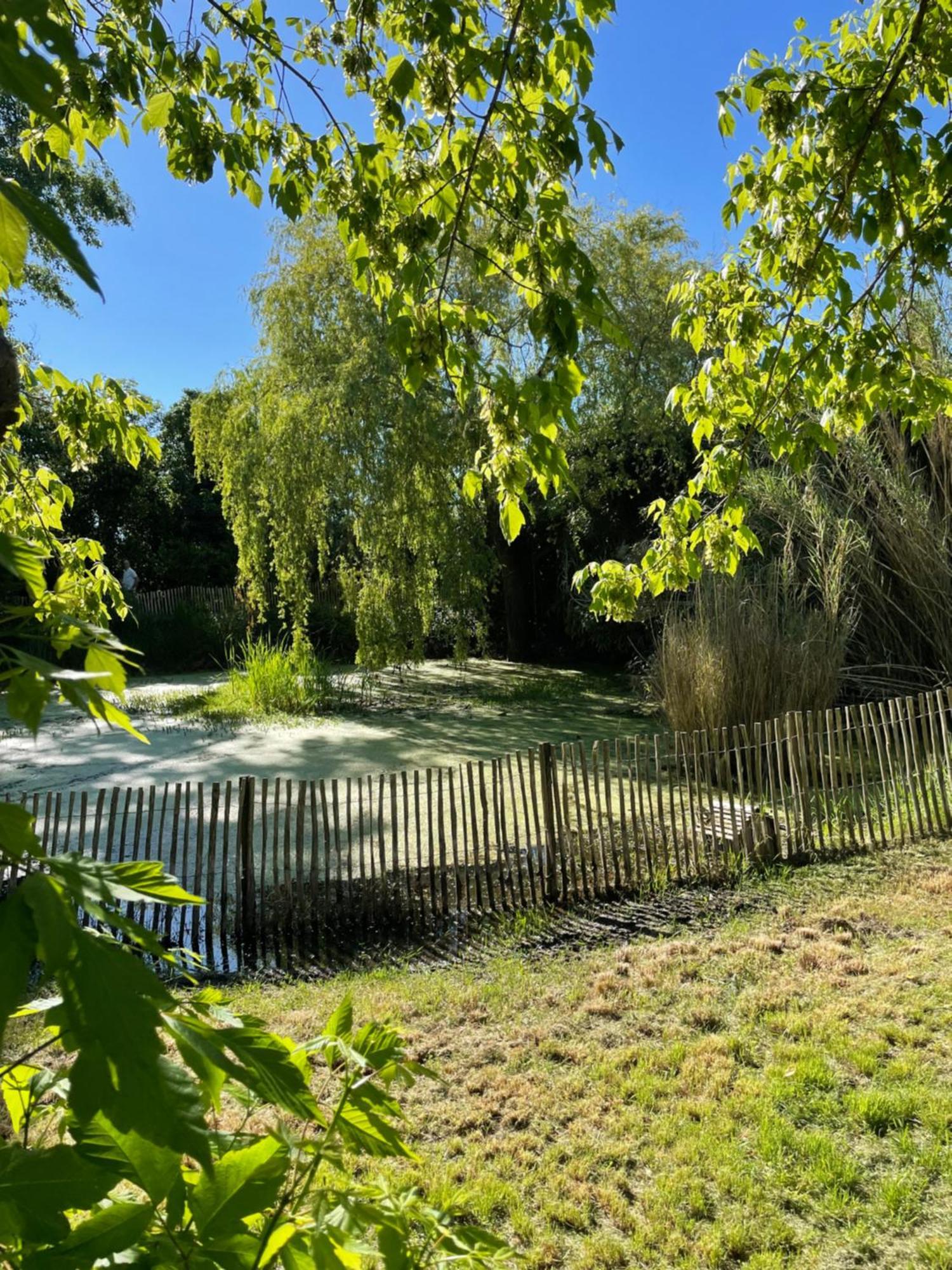 Instant Zen Panzió Saint-Vivien-de-Médoc Kültér fotó